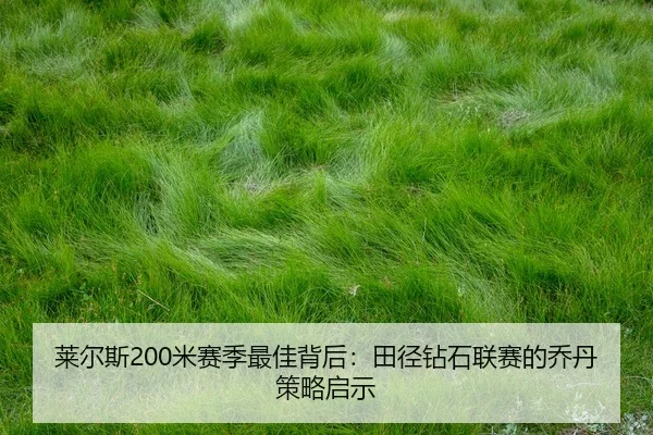 lai-er-si-mi-sai-ji-zui-jia-bei-hou-tian-jing-zuan-shi-lian-sai-de-qiao-dan-ce-lve-qi-shi-2-641.jpg