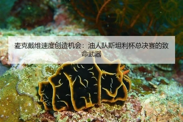 mai-ke-dai-wei-su-du-chuang-zao-ji-hui-you-ren-dui-si-tan-li-bei-zong-jue-sai-de-zhi-ming-wu-qi-3-931.jpg