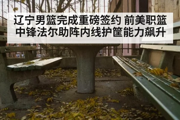 辽宁男篮完成重磅签约 前美职篮中锋法尔助阵内线护筐能力飙升